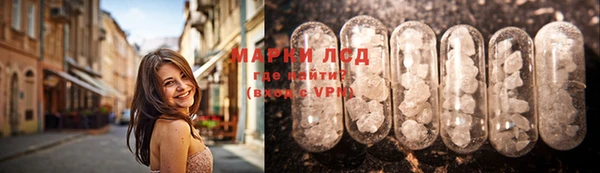 ГАЛЛЮЦИНОГЕННЫЕ ГРИБЫ Балабаново