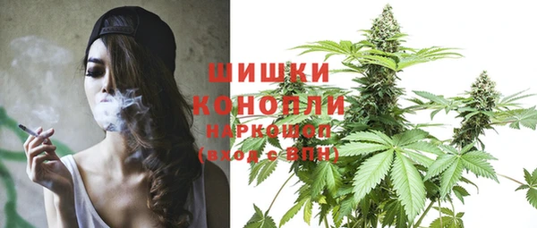ГАЛЛЮЦИНОГЕННЫЕ ГРИБЫ Балабаново